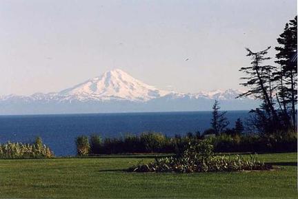 view of Mt. Denali from property