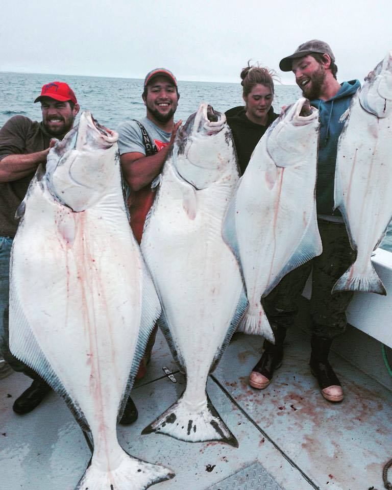 people holding large halibut