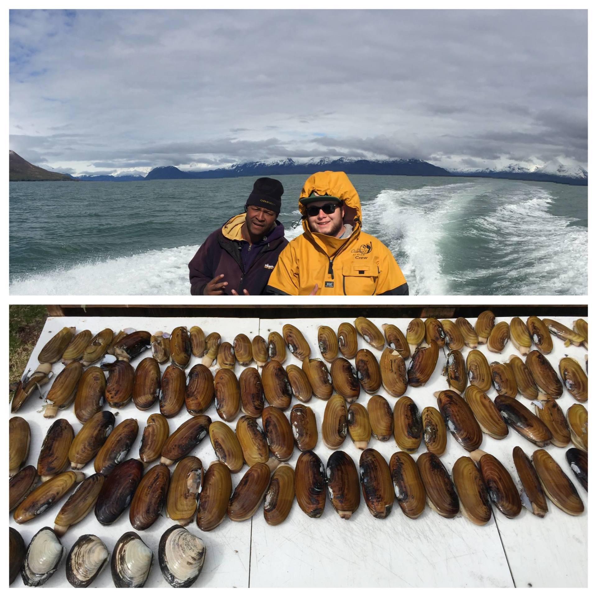 caught large mussels on boat