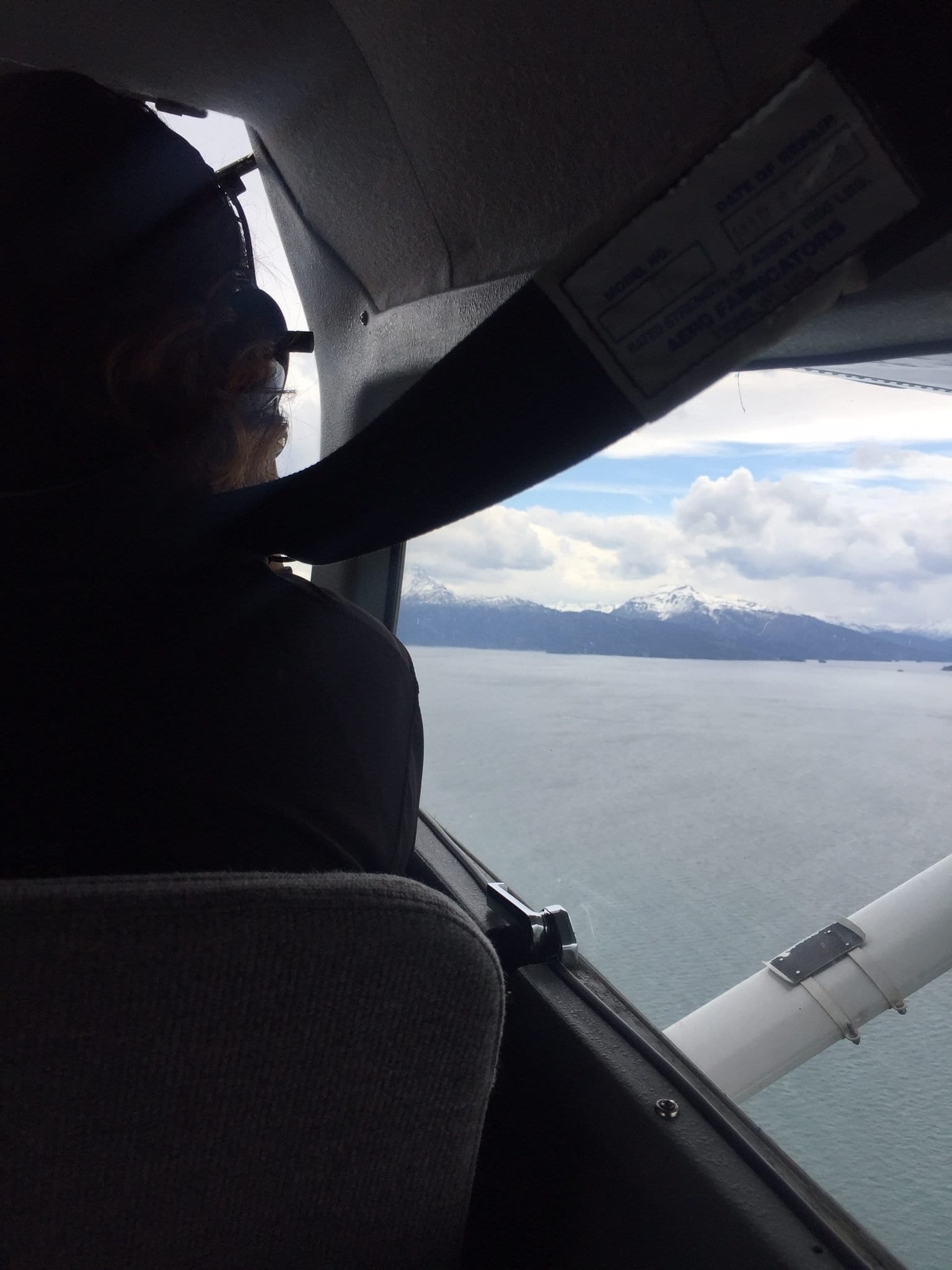 view of Cook Inlet from airplane