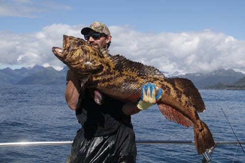 man holding large fish