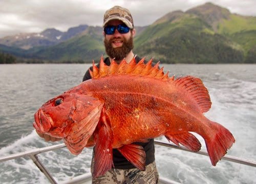 man holding bright orange rockfish