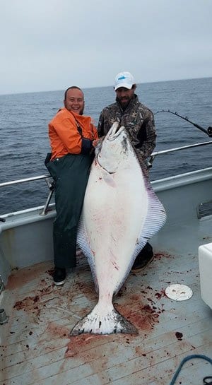 two men holding large halibut