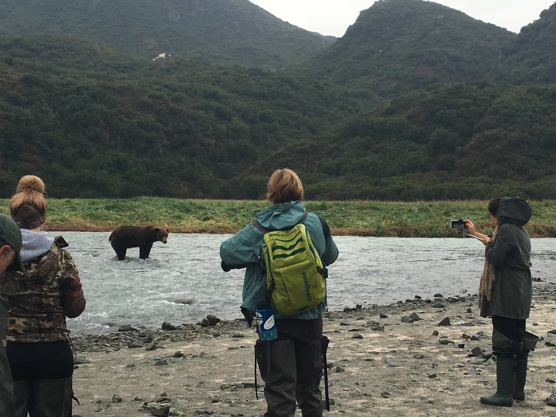 people viewing grizzly bears