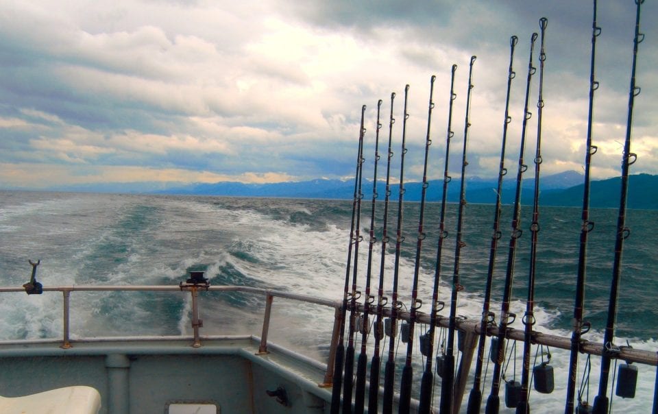 row of fishing poles on fishing boat