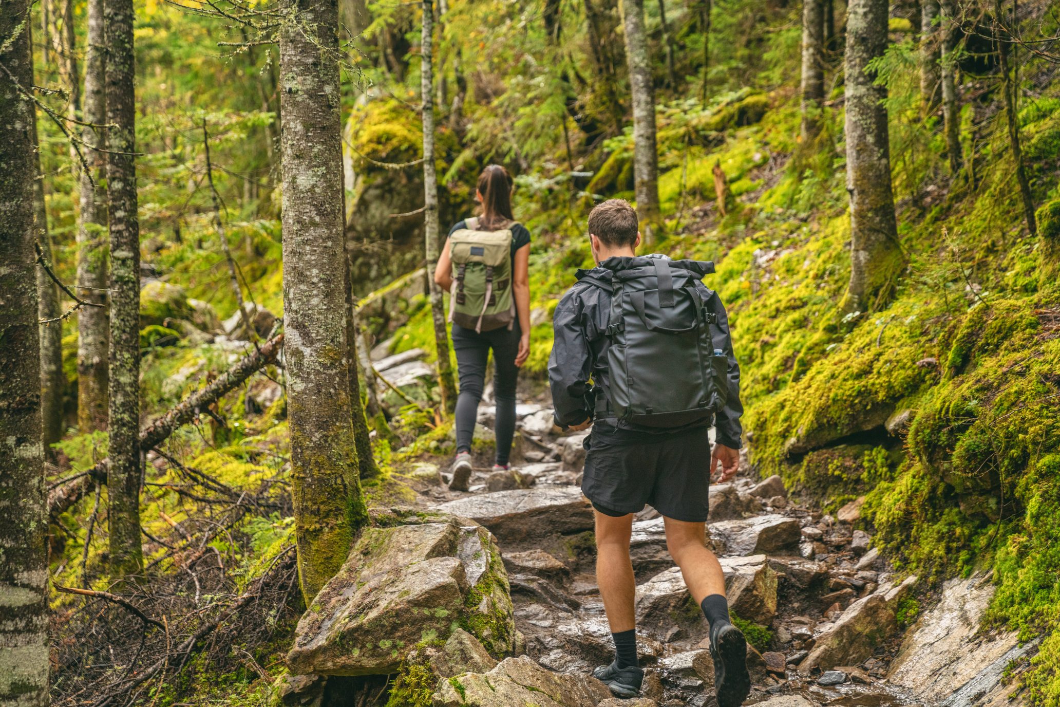 Hike couple hikers hiking forest trail in Autumn nature going ca