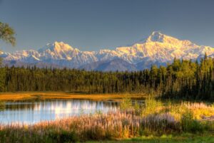 alaska-wilderness-view-scaled