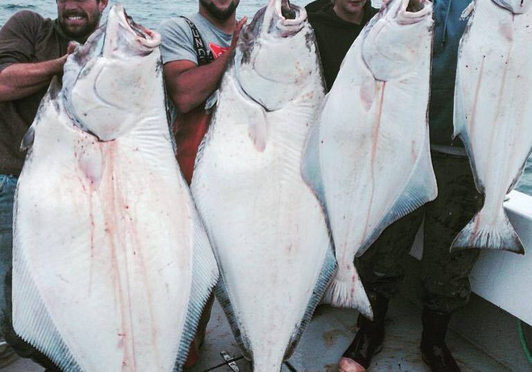 people holding large halibut