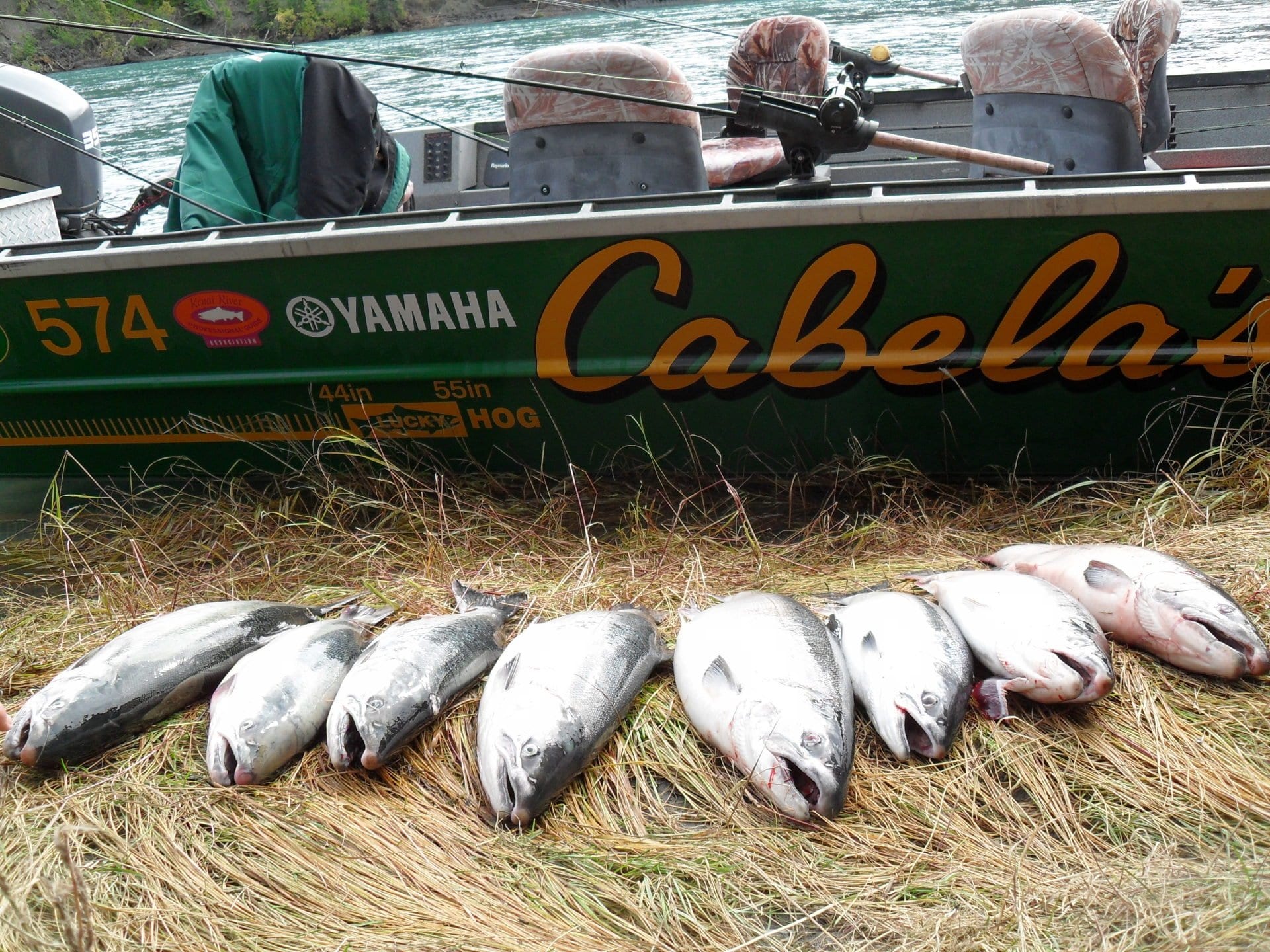 caught fish lined up in front of fishing boat