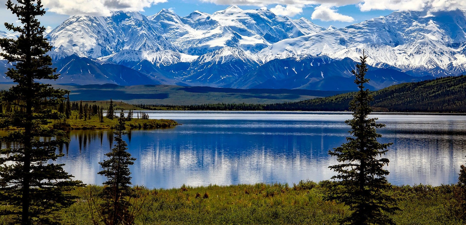 Denali National Park