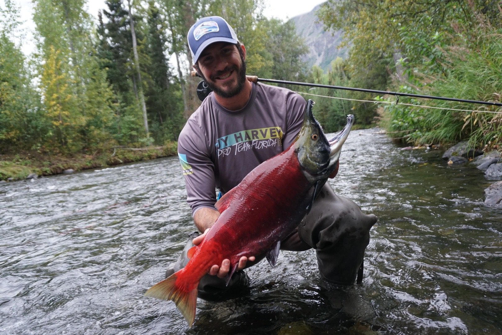 proud man with beautiful sockeye salmon kneeling in Alaska river