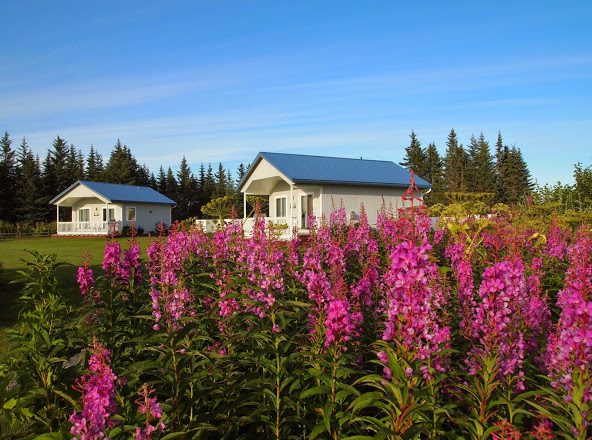 soaring-eagle-cabins-and-flowers