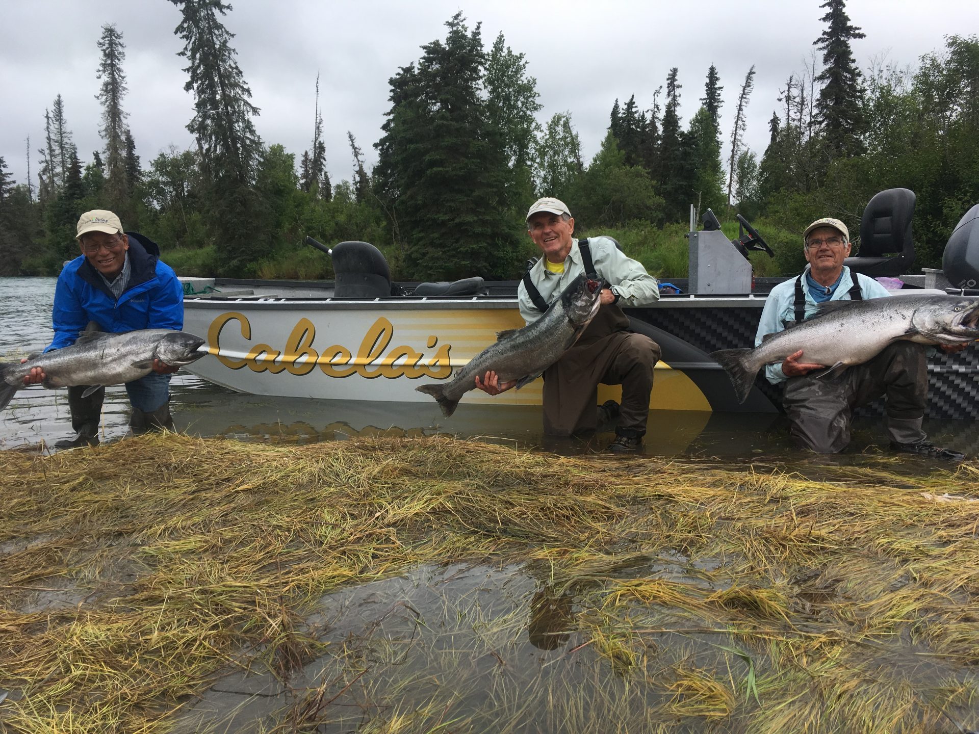 Kenai Peninsula Salmon Runs River Fishing Salmon May September